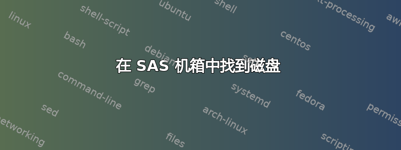 在 SAS 机箱中找到磁盘