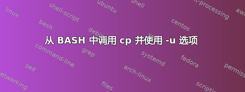 从 BASH 中调用 cp 并使用 -u 选项