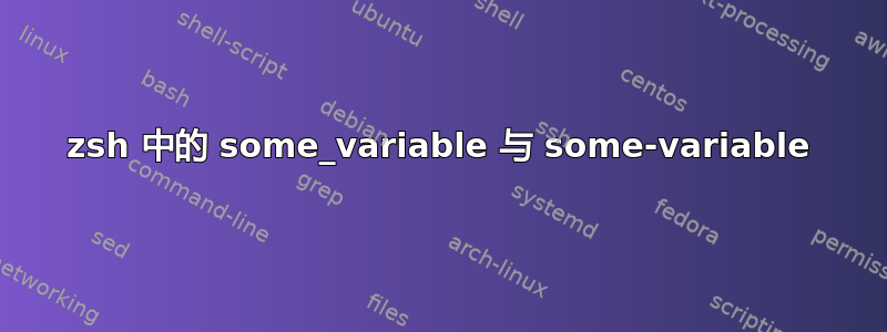 zsh 中的 some_variable 与 some-variable