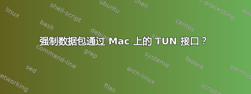 强制数据包通过 Mac 上的 TUN 接口？