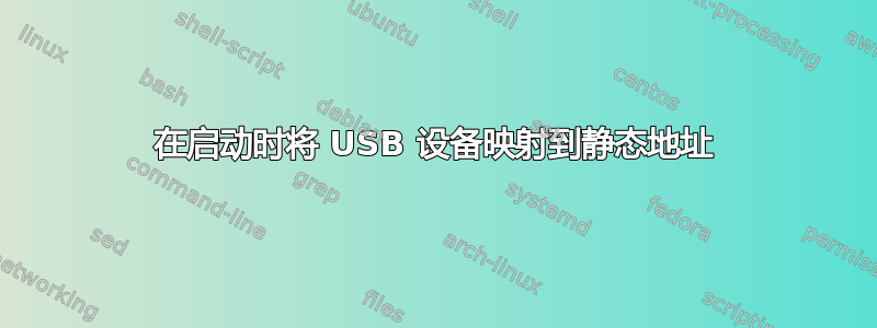 在启动时将 USB 设备映射到静态地址