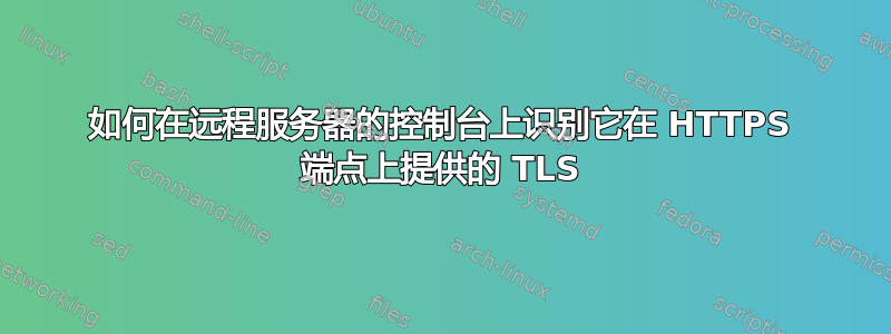 如何在远程服务器的控制台上识别它在 HTTPS 端点上提供的 TLS