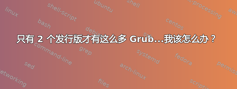 只有 2 个发行版才有这么多 Grub...我该怎么办？