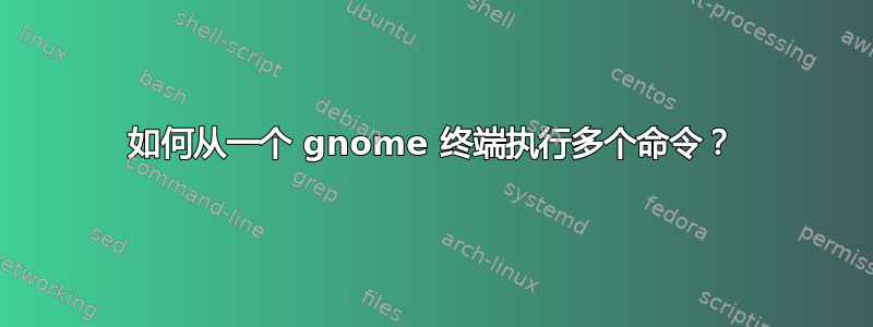 如何从一个 gnome 终端执行多个命令？