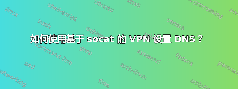 如何使用基于 socat 的 VPN 设置 DNS？