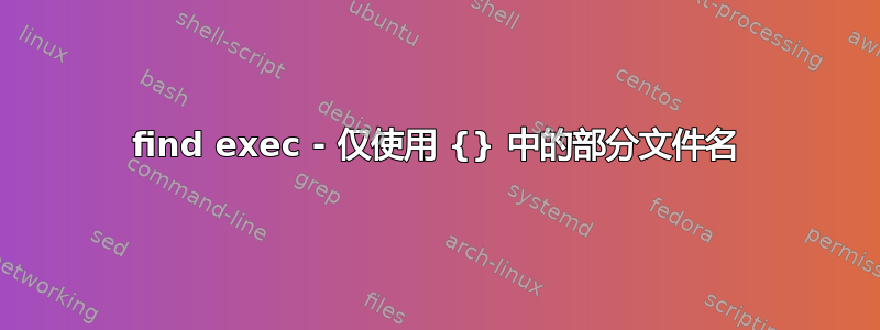 find exec - 仅使用 {} 中的部分文件名