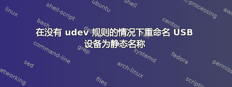 在没有 udev 规则的情况下重命名 USB 设备为静态名称