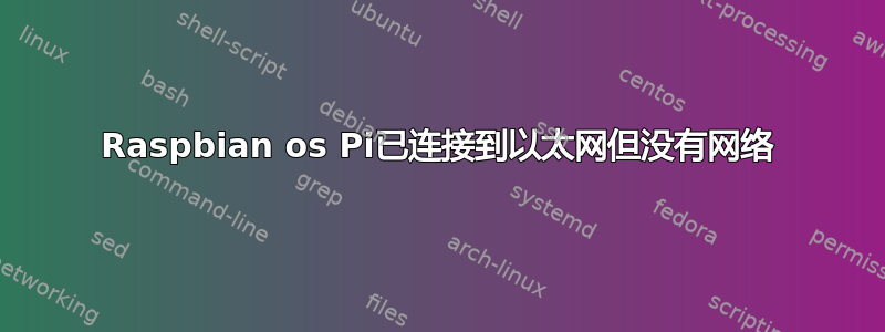 Raspbian os Pi已连接到以太网但没有网络