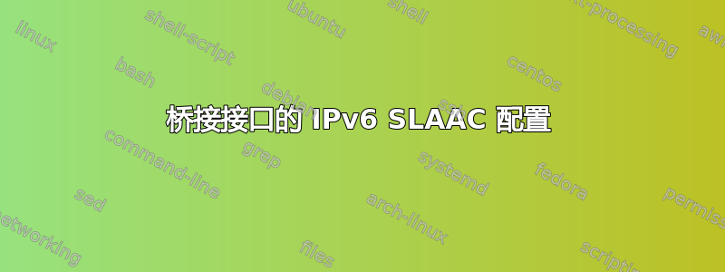 桥接接口的 IPv6 SLAAC 配置