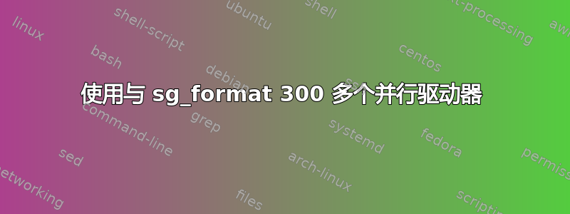 使用与 sg_format 300 多个并行驱动器