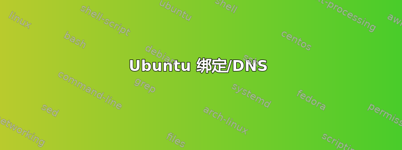 Ubuntu 绑定/DNS