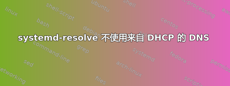 systemd-resolve 不使用来自 DHCP 的 DNS