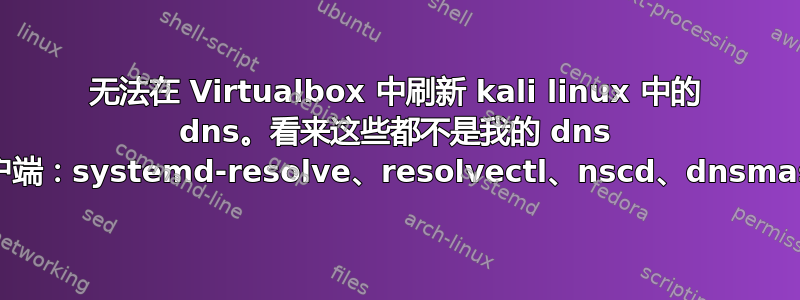 无法在 Virtualbox 中刷新 kali linux 中的 dns。看来这些都不是我的 dns 客户端：systemd-resolve、resolvectl、nscd、dnsmasq