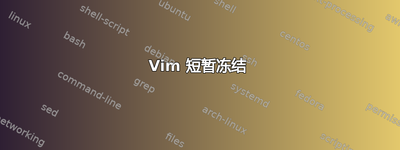 Vim 短暂冻结