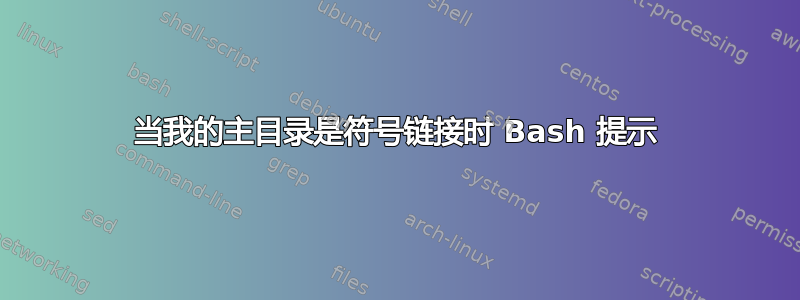 当我的主目录是符号链接时 Bash 提示