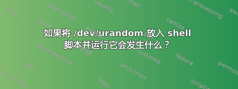 如果将 /dev/urandom 放入 shell 脚本并运行它会发生什么？