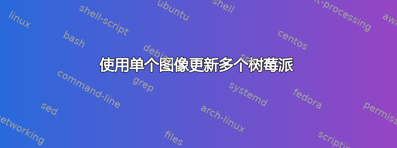 使用单个图像更新多个树莓派