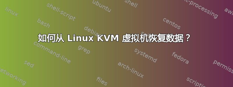 如何从 Linux KVM 虚拟机恢复数据？