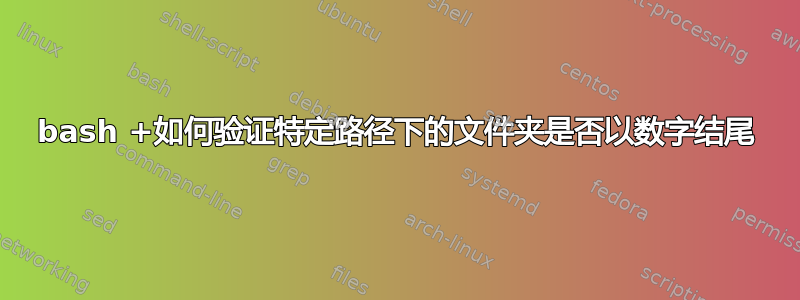 bash +如何验证特定路径下的文件夹是否以数字结尾