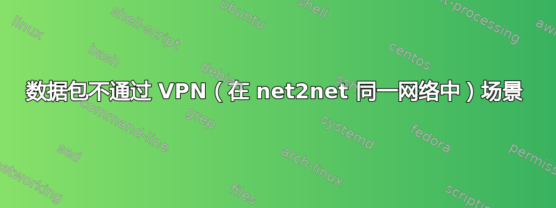 数据包不通过 VPN（在 net2net 同一网络中）场景