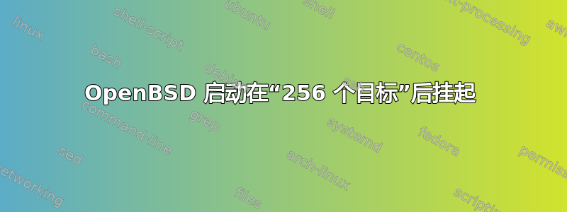 OpenBSD 启动在“256 个目标”后挂起