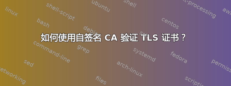 如何使用自签名 CA 验证 TLS 证书？