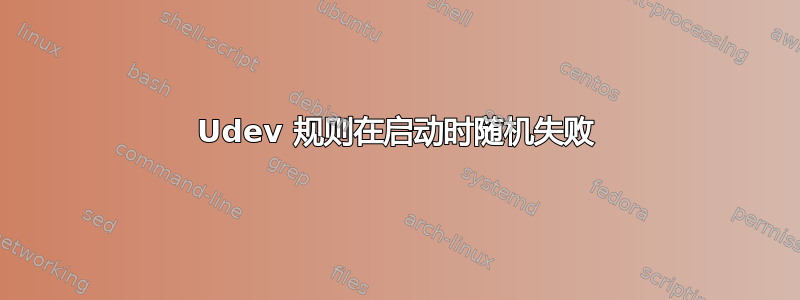 Udev 规则在启动时随机失败