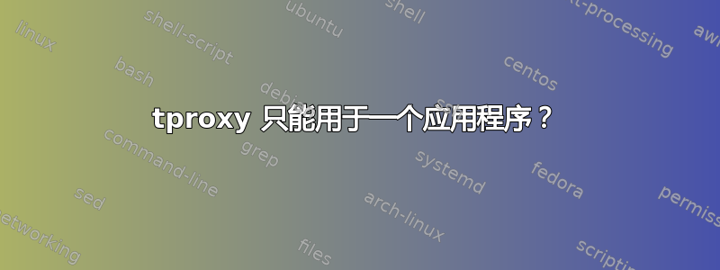 tproxy 只能用于一个应用程序？