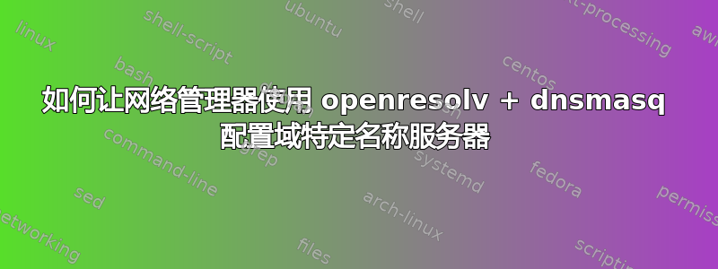 如何让网络管理器使用 openresolv + dnsmasq 配置域特定名称服务器