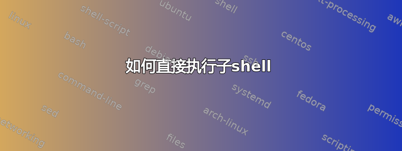 如何直接执行子shell