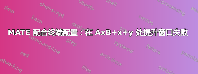 MATE 配合终端配置：在 AxB+x+y 处提升窗口失败