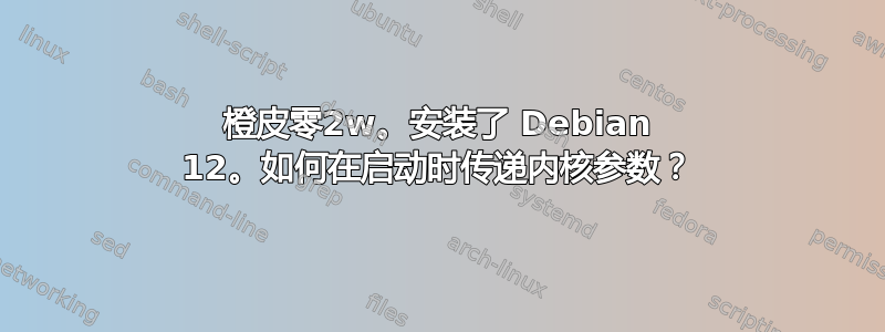 橙皮零2w。安装了 Debian 12。如何在启动时传递内核参数？