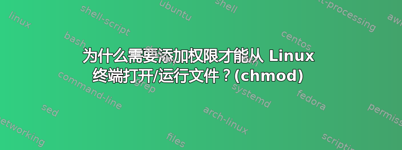 为什么需要添加权限才能从 Linux 终端打开/运行文件？(chmod)