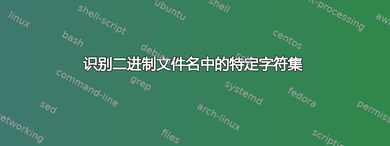 识别二进制文件名中的特定字符集