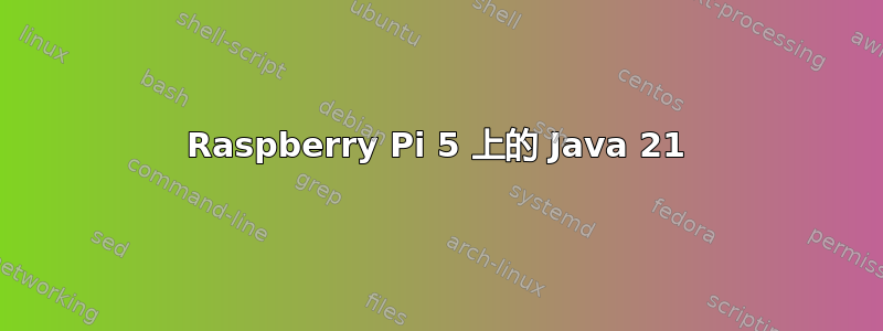 Raspberry Pi 5 上的 Java 21