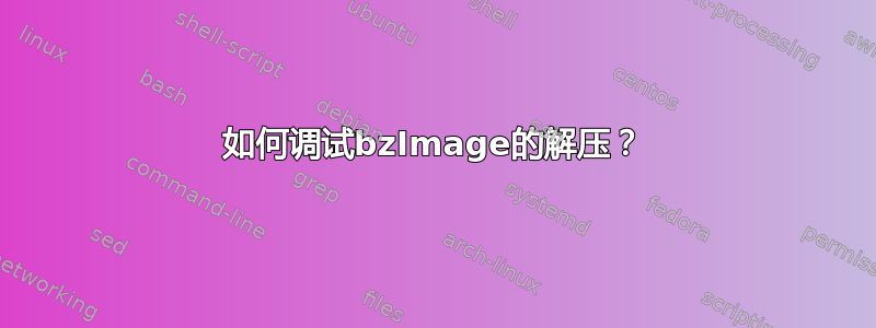 如何调试bzImage的解压？