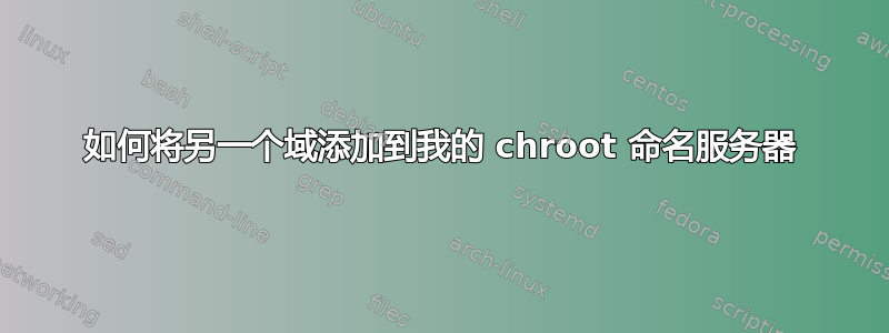 如何将另一个域添加到我的 chroot 命名服务器