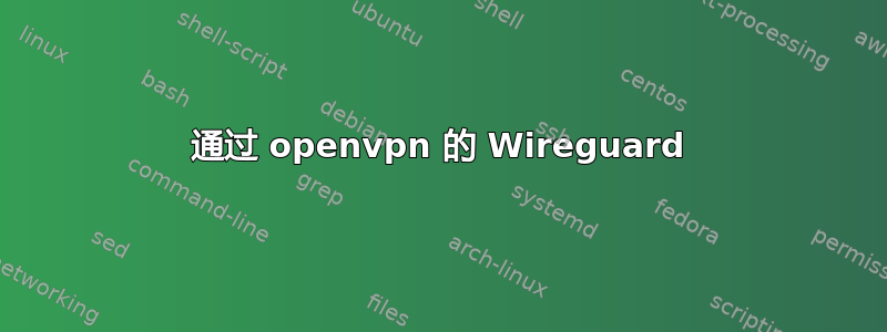 通过 openvpn 的 Wireguard