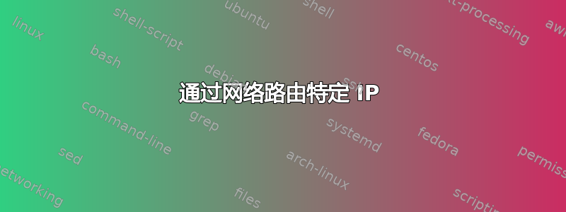 通过网络路由特定 IP