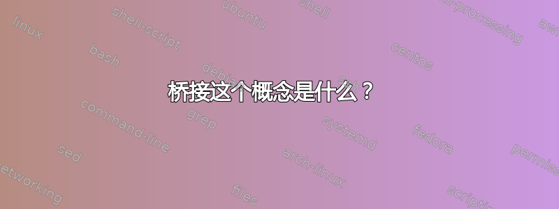 桥接这个概念是什么？ 