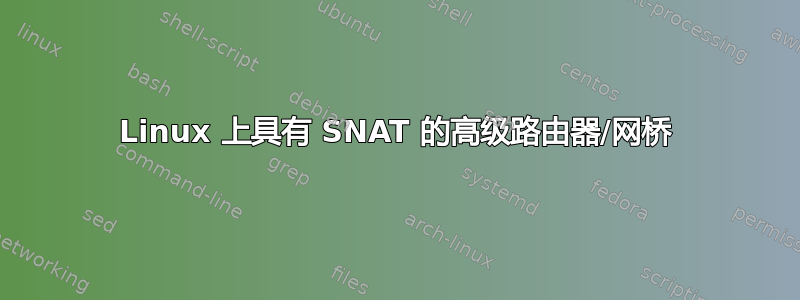 Linux 上具有 SNAT 的高级路由器/网桥