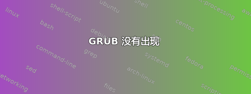 GRUB 没有出现