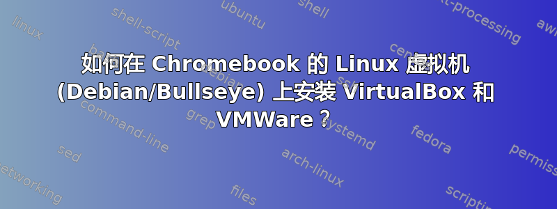 如何在 Chromebook 的 Linux 虚拟机 (Debian/Bullseye) 上安装 VirtualBox 和 VMWare？