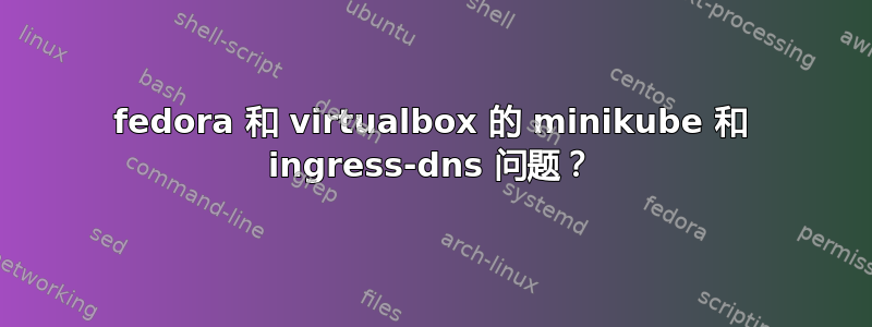 fedora 和 virtualbox 的 minikube 和 ingress-dns 问题？