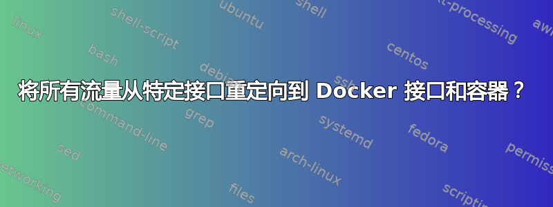 将所有流量从特定接口重定向到 Docker 接口和容器？