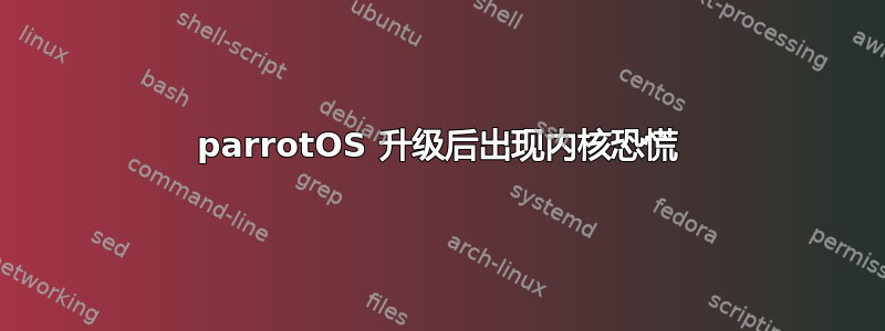 parrotOS 升级后出现内核恐慌