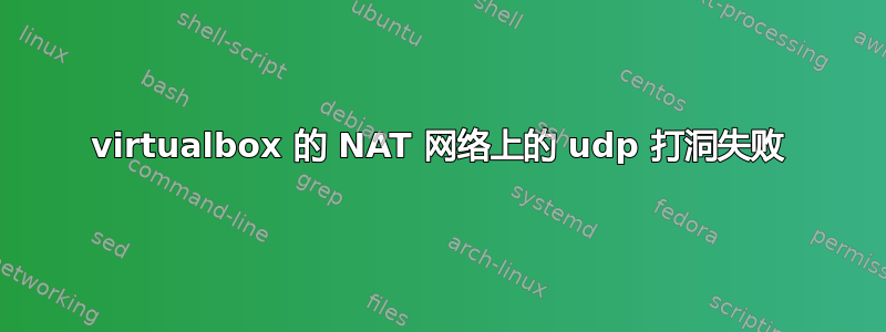 virtualbox 的 NAT 网络上的 udp 打洞失败