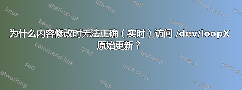 为什么内容修改时无法正确（实时）访问 /dev/loopX 原始更新？