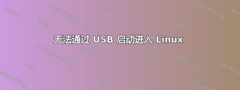 无法通过 USB 启动进入 Linux