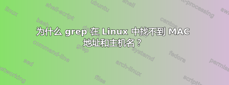 为什么 grep 在 Linux 中找不到 MAC 地址和主机名？